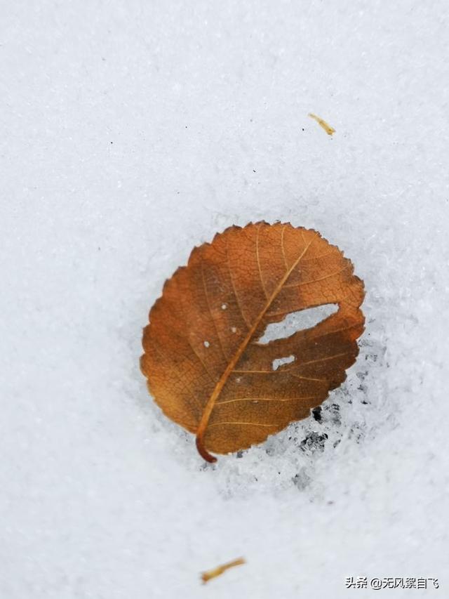 亲爱的，你那里下雪了吗？