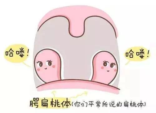 『大医本草堂』宝宝扁桃体总发炎,感冒发烧就跟来,你不心疼?老中医4个方法帮你忙
