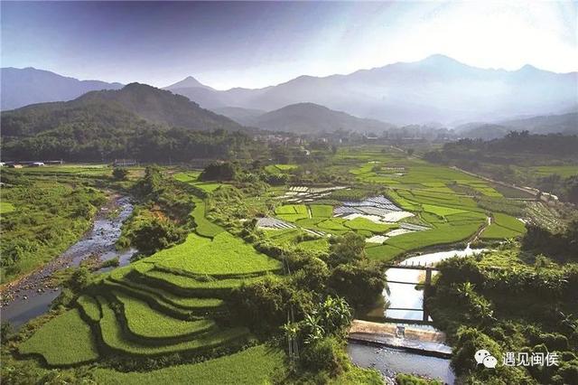 旅行百事通■国家级森林乡村！闽侯有5个村庄上榜
