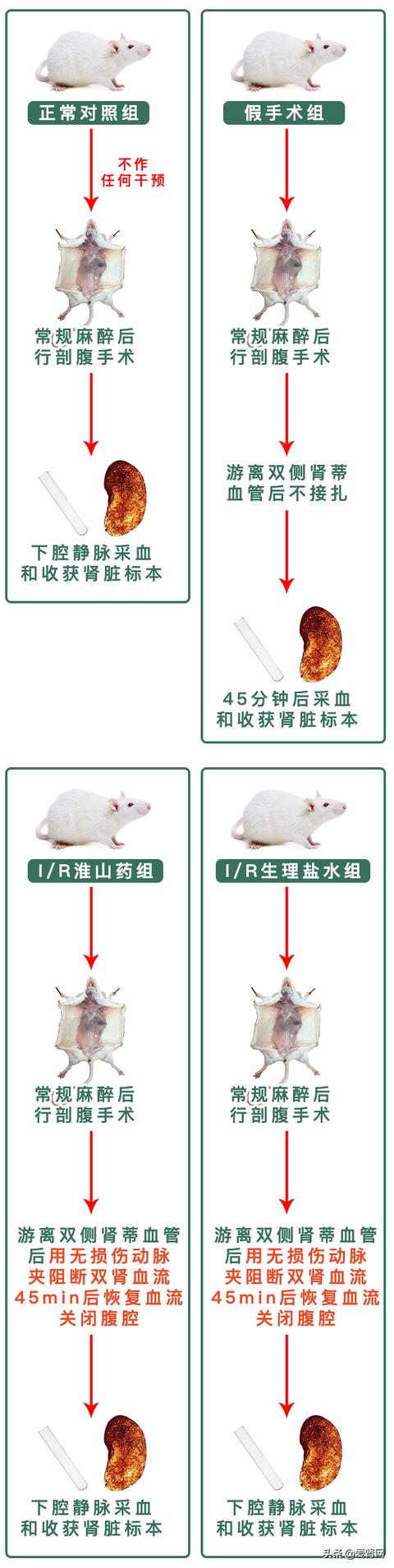 这种食物降糖抗癌、减轻肾损伤，但错误食用也可能伤肾，必看