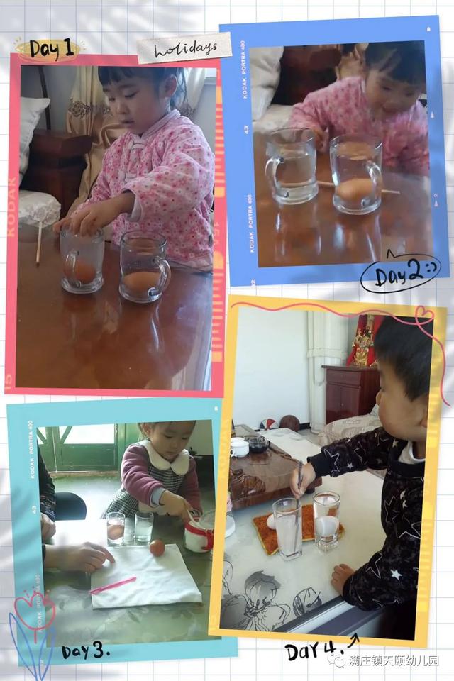 【你的育儿经】停课不停学 探究收获多