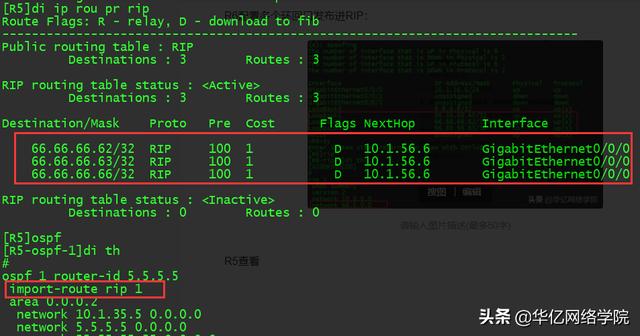 OSPF汇总及认证