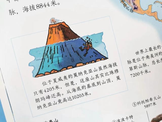 「影视交流地」黄圣依被5岁儿子嫌弃却获赞无数:用百科书喂大的孩子眼界不一般