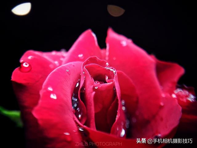 华为Mate 40最大的摄影黑科技是啥？居然是手机壳