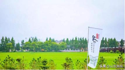 #山东商报#阿里“春雷计划”建100个“数字粮仓”供优质米面上国人餐桌!