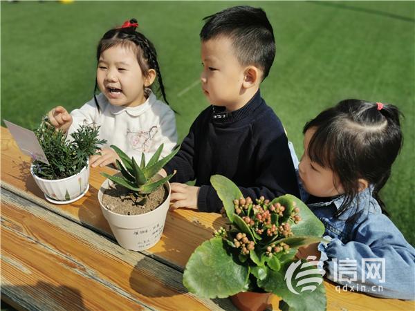 课程|青岛市北区启动“童真·童年”幼儿园课程研究项目