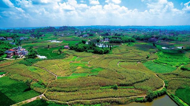 擦亮高质量发展生态底色 四川自贡沿滩区亮出“十三五”绿色成绩单