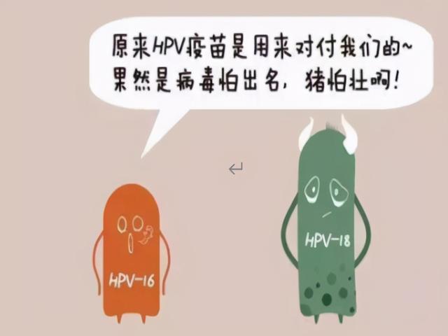 感染HPV,我一定会得宫颈癌吗？