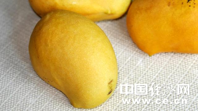 水果|夏季吃水果注意6个禁忌 这些应季水果别错过