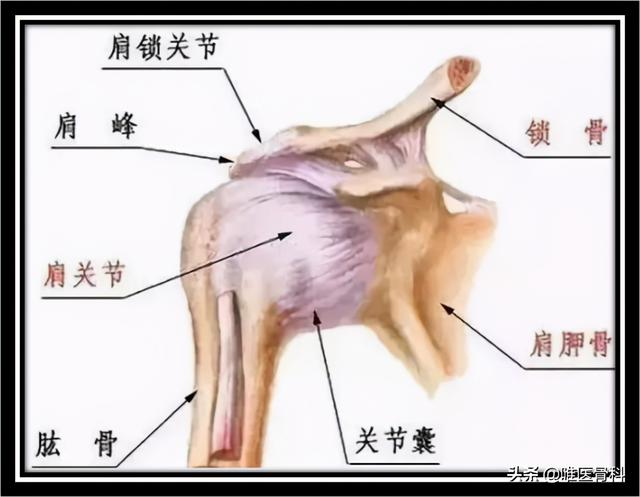 肩膀一次脱臼，次次脱臼？避免这 2 个动作