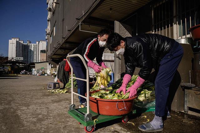 「图集」越冬仪式感，韩国家庭腌制泡菜