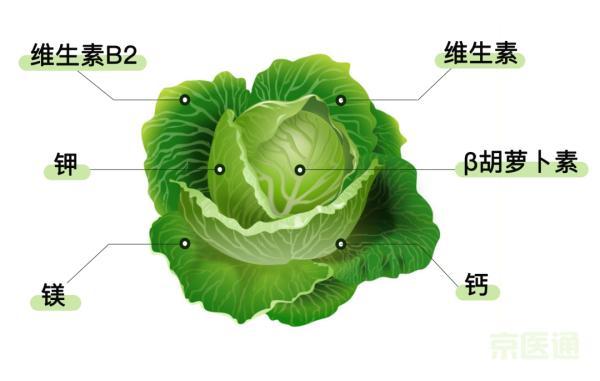 十字|「超级蔬菜」有多营养？肠道、血管、骨骼