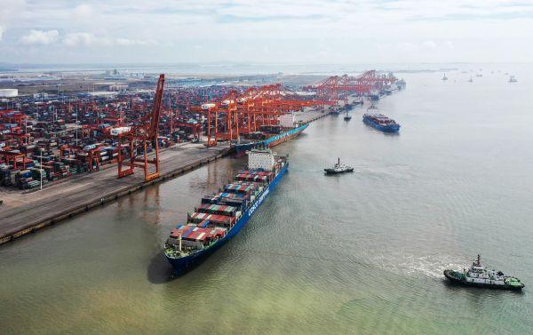 中国|IMF专家：中国将为全球复苏作出重要贡献