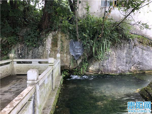 花溪区青岩镇龙井村:文明创建激活力 布依村寨好风景