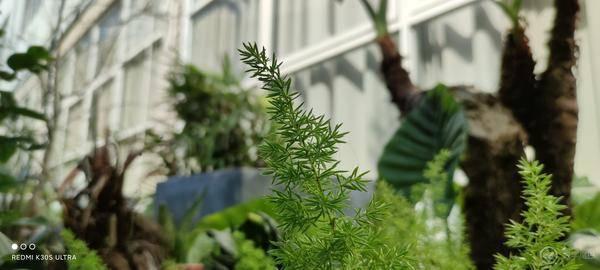 Redmi K30S 至尊纪念版开箱：堆料满满，依然性价比