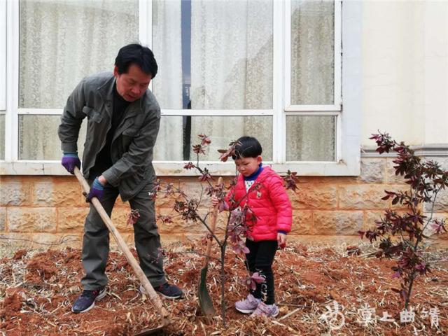 [你的育儿经]县一幼开展“线上植树活动”