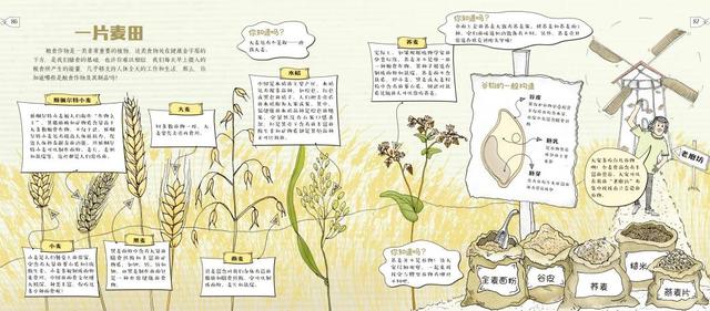 幸福之家|“儿童零食标准”发布实施
