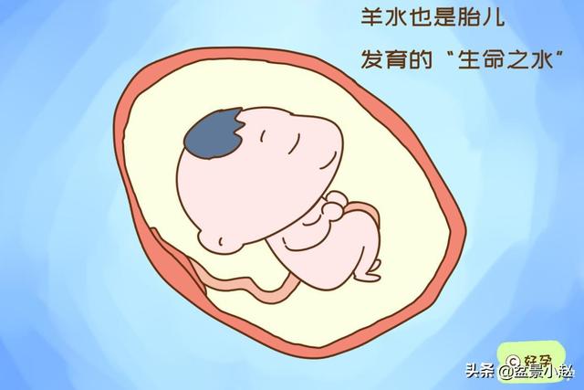 爱上你的微笑|产妇生下“带壳宝宝”，当场慌乱，医生却惊喜表示：太幸运了