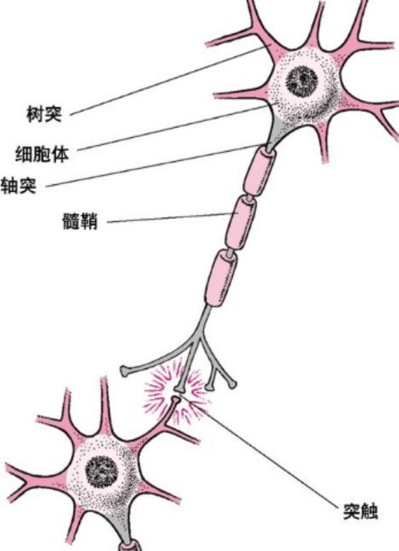 3岁前是大脑发育的“黄金期”，多“刺激”宝宝，能促进大脑发育