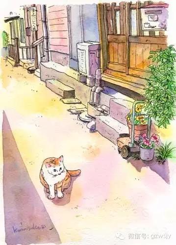 超级宝妈|孩子提问 | 猫与我们的基因相同吗?