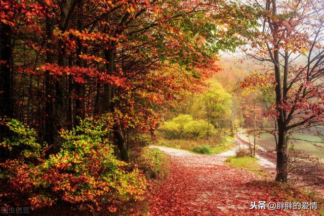 顺境珍惜，逆境改变；与其浪费精力抱怨，不如珍惜时间努力