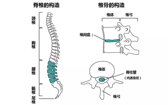 颈椎病患者的自我救赎