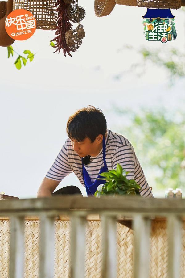 黄晓明《向往4》里“认真减肥”蘑菇屋中惊闻“再来一块”|环球网