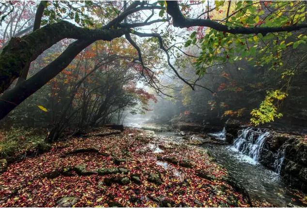 2020想去中国昭通旅游的景点:小草坝,扎西会址,念湖