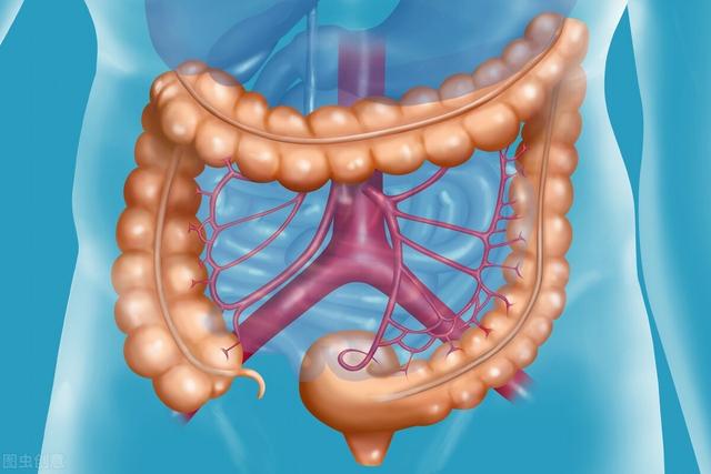 世卫组织确认：加工肉制品可致癌，如何健康吃肉？专家给出建议