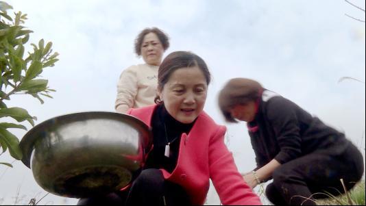 清明|黔南瓮安：在田野间寻觅时隔一年的传统味道