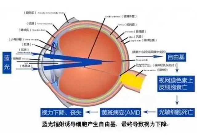 21世纪经济报道@这件事情不重视，孩子的眼睛都毁了