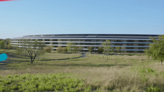 苹果|热搜第一！紫色iPhone来了，还有这个229元小配件，网友：适合家里狗子