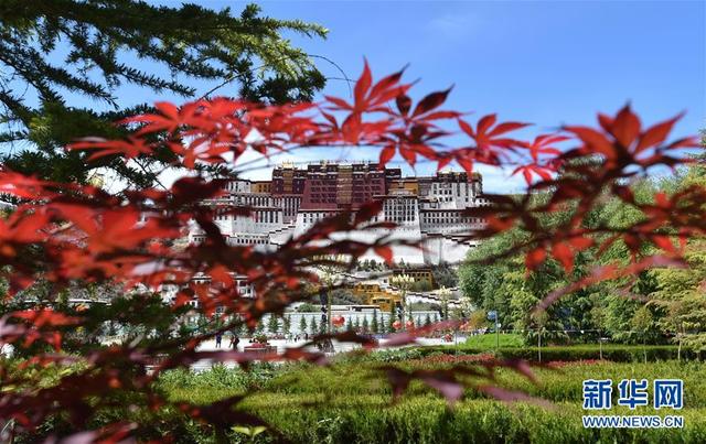 [中国网]布达拉宫恢复对外开放