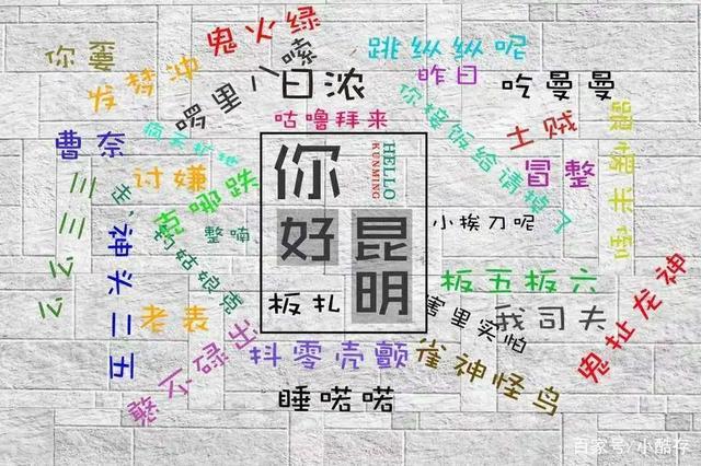 你的育儿经|还让孩子说方言吗？3个妈妈这么说