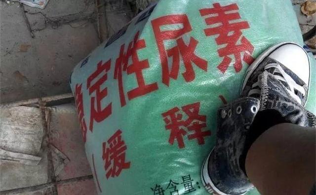 甲硝唑|淘米水加点料，没有异味，肥效能翻10倍，养啥花都旺