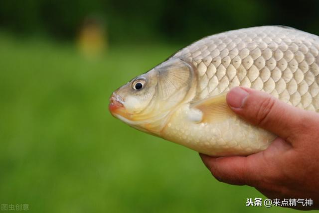 风湿性关节炎就是“湿气”在关节！如何祛除！办法总结