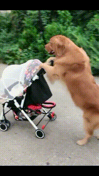 搞笑gif:妹子也太吓人了,还好我反应快