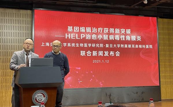 技术|基因治疗“从0到1”实现创新突破 病毒性角膜炎有望通过HELP疗法得到根治