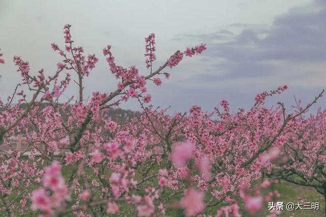 #旅行柚子君#【中国绿都?最氧三明】三明绝美古风拍摄地，随便一按就是穿越大片！