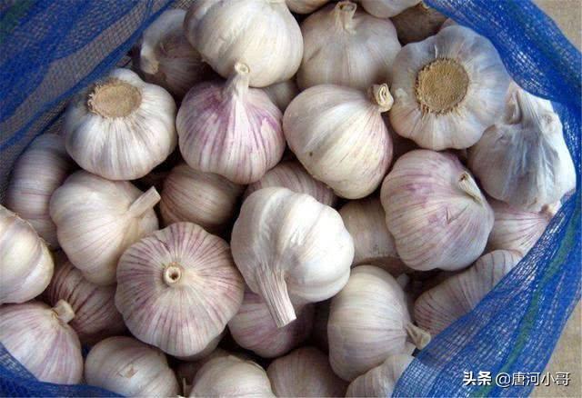 你的育儿经■吃了30年的大蒜，才知道大蒜上有个小“机关”，三秒就剥好