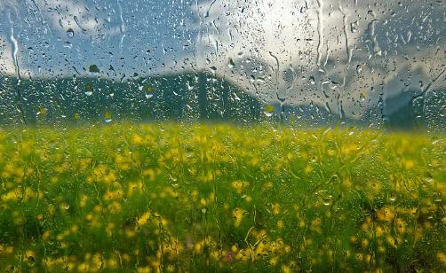 谷雨|谷雨养生好时节，老年人要提防这些疾病