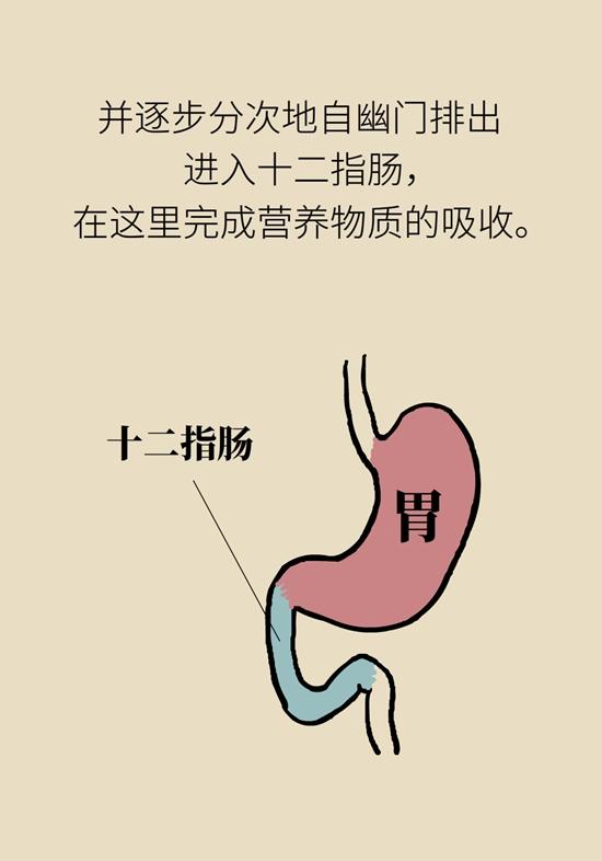 科普|“气得胃疼”是真的？原来胃还是个情绪器官