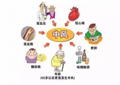 天气转凉警惕脑血管！如何保持“高速公路”绿色畅通？