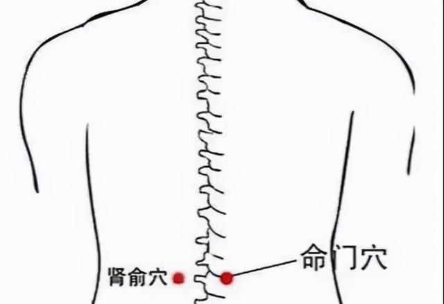 肾不好人先老！多吃“2黑1白”，做3个动作，补肾养阳