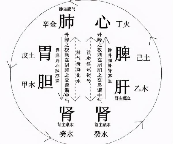 中医界黄药师的神奇一生，与调理阴阳第一方