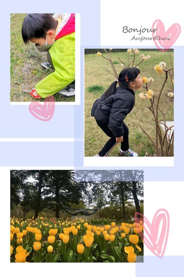 超级宝妈：停课不停学，孩子们“云端”集结齐学习