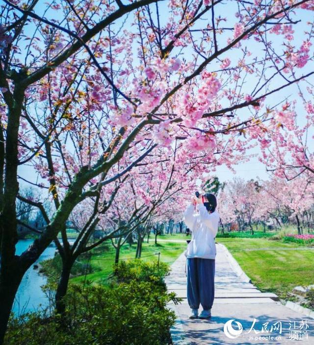 约吗旅行:南京溧水:政策扶持美景“加持”游客数量攀新高