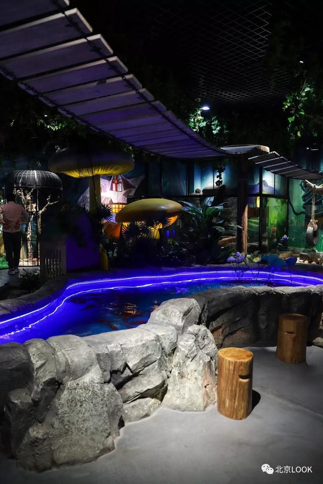 「玩乐足迹」北京首家室内动物园 · 和羊驼浣熊一起玩