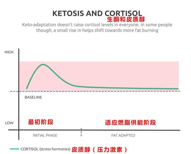 硬核科普：生酮会增加压力激素，影响甲状腺吗？