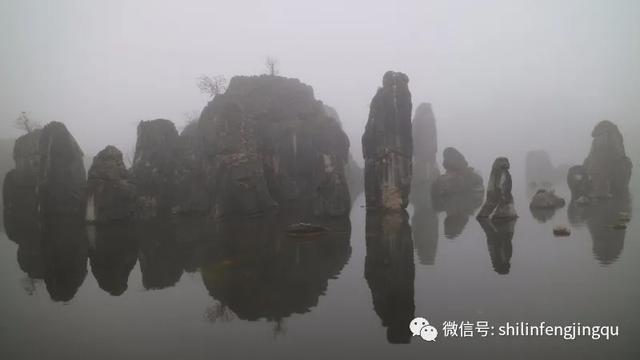 「趣旅游」【雾雪霜华】石林湖的白雾凉波